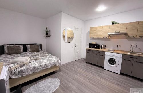 Riscani Apartment | RentHouse Apartments-Old Town Studio #1