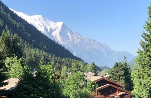 Chamonix-Mont-Blanc Apartment | Residence La Verte 24- Aux Pieds des pistes!
