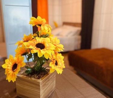 Centro Resort | Residenciais Maria Flor