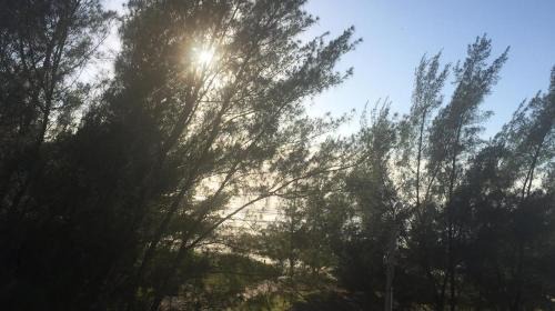 Torres Apartment | Residencial Itapeva