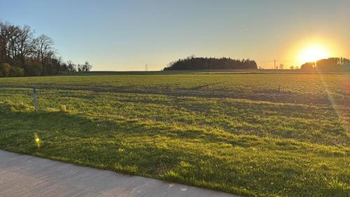 Oberndorf bei Schwanenstadt House | Resort Winklfeld 8b