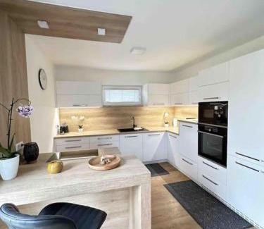 Oberndorf bei Schwanenstadt House | Resort Winklfeld 8b