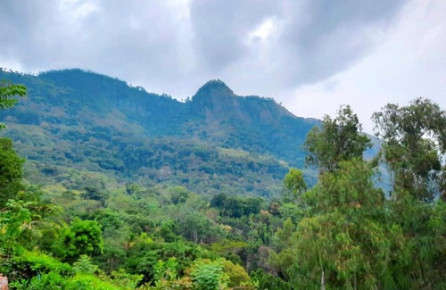 Koslanda Bed & Breakfast | 'Rest in Love' Rock Bangalow