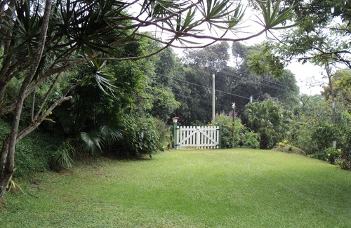 Araras House | Rest in the Valley of the Vines - Macaws