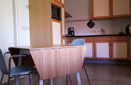 t Zand House | Rest, walk and enjoy the wide beach and in April Tulips!