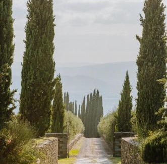 Arezzo House | Restored Farmhouse In The Arezzo Hills