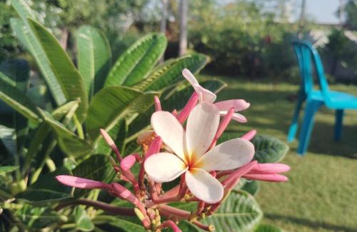 Gurugram House | Retreat by Walias Entire Farm Pet-Friendly Sports