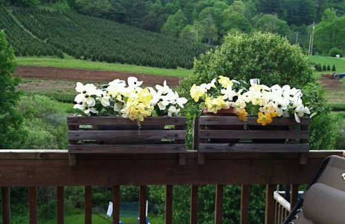 Glenville Apartment | 'Retreat! Comfy, Private w/Mountain View! 1 Ntr's Ok! Nearby Lake, town 5 miles!