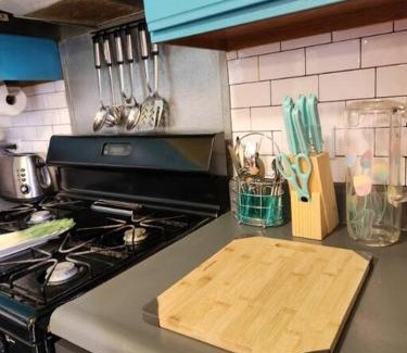 Chicago Apartment | Retro 2 BR Home 6 mins to United Center with Parking