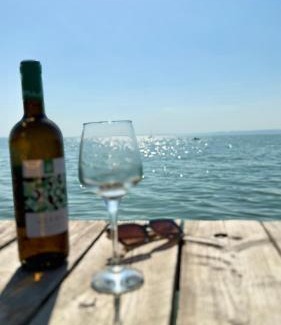 Balatonvilagos Ski Chalet | Retro Lakefront House With A Dock