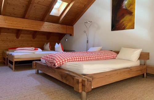 Braunwald Apartment | Revier Silberwiidä-Galerie