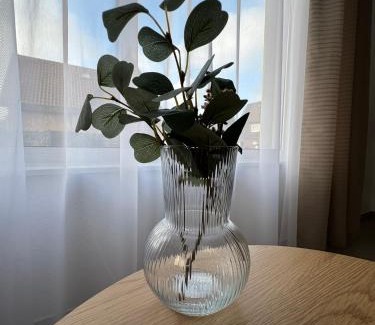 Rheine Apartment | Rheiner WohlfühlSuite mit Garten