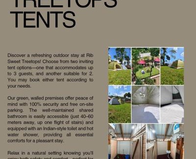 Shillong Other | Rib Sweet Treetops Bed and Breakfast Tents 3 pax