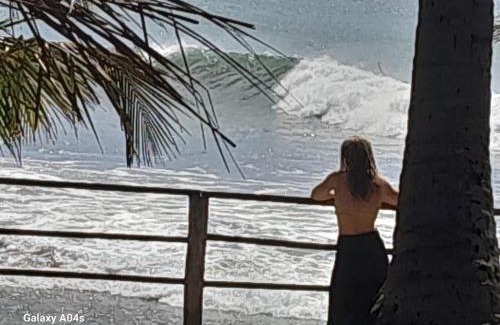 Pottuvil Division 2 Bed & Breakfast | Rice Fields