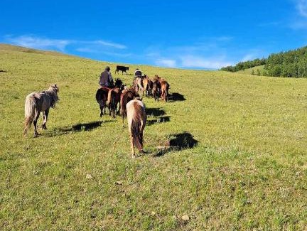 Ulaanbaatar Resort | Ride and Relax Resort
