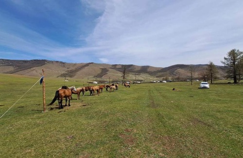 Ulaanbaatar Resort | Ride and Relax Resort