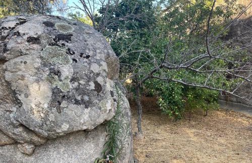 Aggius Apartment | Rifugio del Bosco in the heart of Aggius