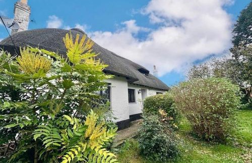 Waterlooville House | Rinsey Cottage