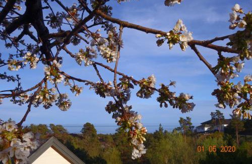 Risor Bed & Breakfast | Risør Bed & Breakfast, Randvik Strand