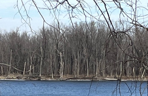 Montpelier House | River House with dock and beautiful views