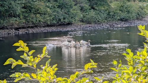 Saint Come Ski Chalet | River Lodge Chalet - Private - SPA - AC - Pet Friendly