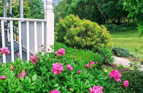 Sheffield House | River Orchard Meadow