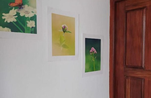Pelena House | River Side Holiday Inn