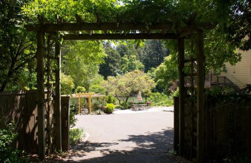 Northwood Hotel | River View Garden Resort