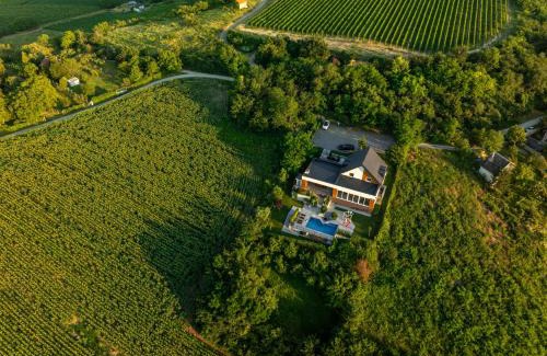 Sremska Mitrovica Villa | Riverside pool villa-Sremski Karlovci
