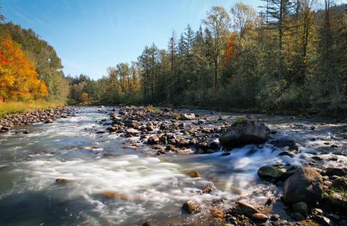 Marmot House | Riverside Retreat - Meredith Lodging