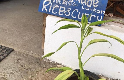 Pottuvil Division 2 House | Robbo's Surfcamp