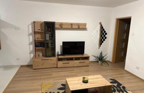 Bistrita Apartment | Robert's Apartment