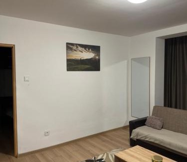 Bistrita Apartment | Robert's Apartment