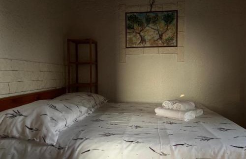 Dobropoljana House | Robinson house Ruža