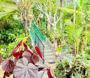 Ella Bed & Breakfast | Rock View Cottage