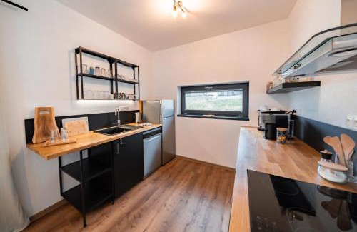 Frymburk Apartment | Rodinné apartmány LEVÝPRAVÝ ve Frymburku