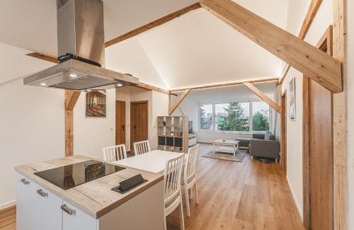 Hradec Kralove Apartment | Rodinný apartmán se zahradou a vířivkou