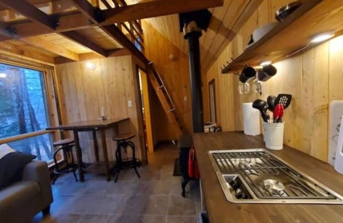Saint-Etienne-De-Bolto Cabin | Romantic eco-cottage with mezzanine: La Perdrix