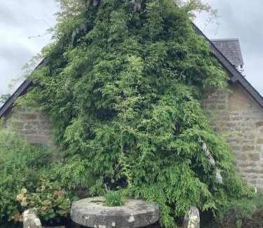 Saint-Germain-de-Tallevende-la-Lande-Vaumont House | Romantic Cottage