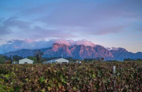 Simondium House | Room 1 - LEO Sky Guest House