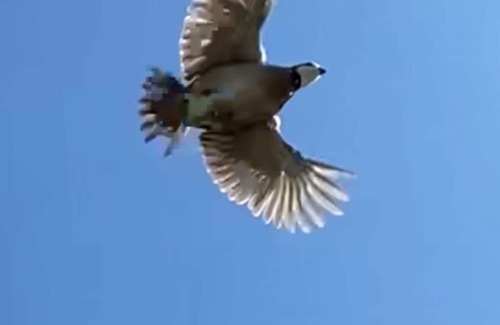 Brandon House | Room #5, sleeps 2 located just 20 mins from the heart of downtown Waxahachie.