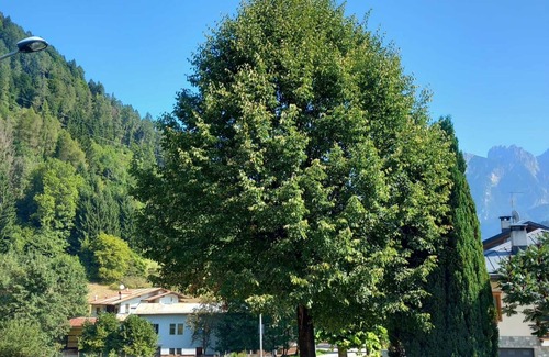 Lozzo di Cadore Apartment | Room 'Camera 2' with Wi-Fi