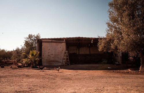 Karak Governorate Bed & Breakfast | Room , cultural experience and great landscapes