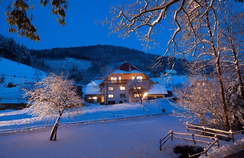 Winden im Elztal Apartment | Room 'Gästezimmer Hörnlebergblick' with Shared Terrace, Shared Garden and Wi-Fi