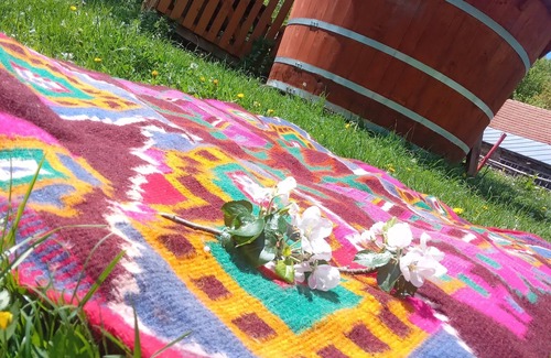 Rosia Montana House | Room in Guest Room - Rural Holiday Transylvania