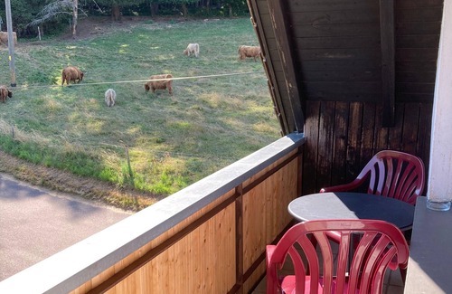 Muehlenbach Apartment | Room 'No. 4 with Balcony' with Shared Terrace, Shared Garden and Wi-Fi