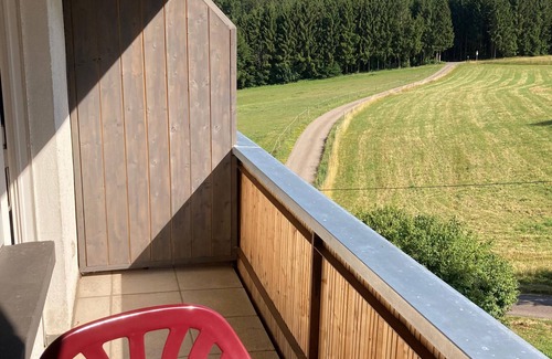 Muehlenbach Apartment | Room 'No. 4 with Balcony' with Shared Terrace, Shared Garden and Wi-Fi