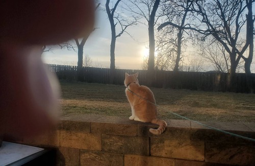 Brunswick House | Roommate, yes I'll be lurkingvabout