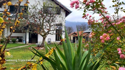 Donji Lapac House | Rooms Vukša