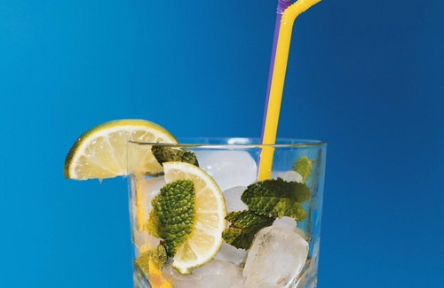 Malviya Nagar Hotel | Roomshala 091 IPS Stay